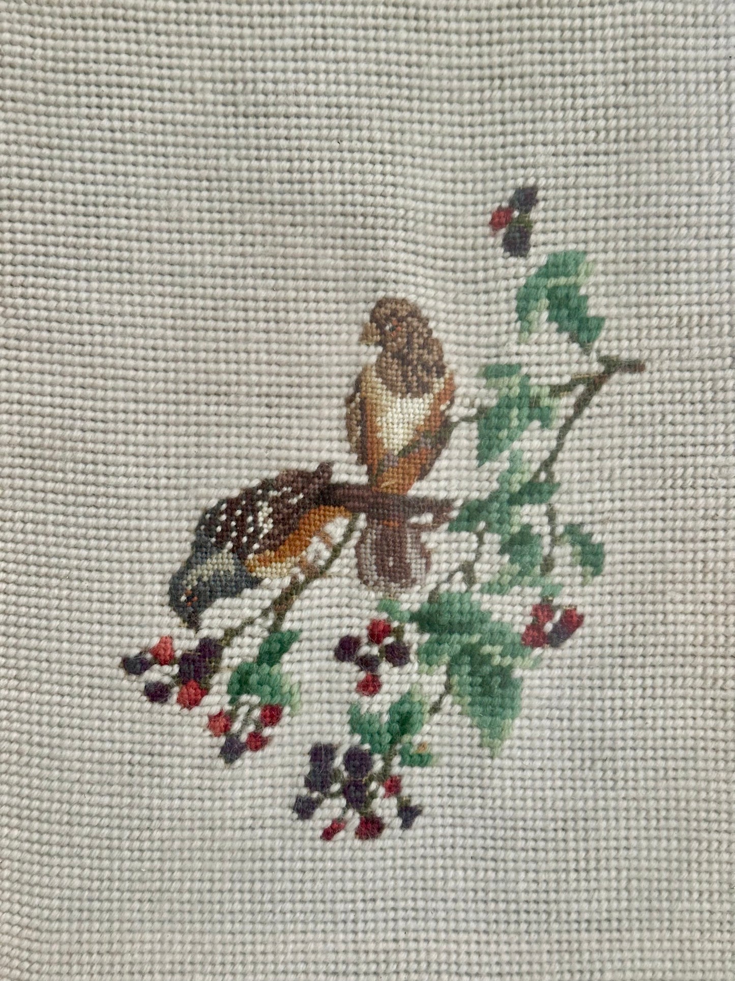 Vintage Birds on a Tree Branch Framed Needlepoint
