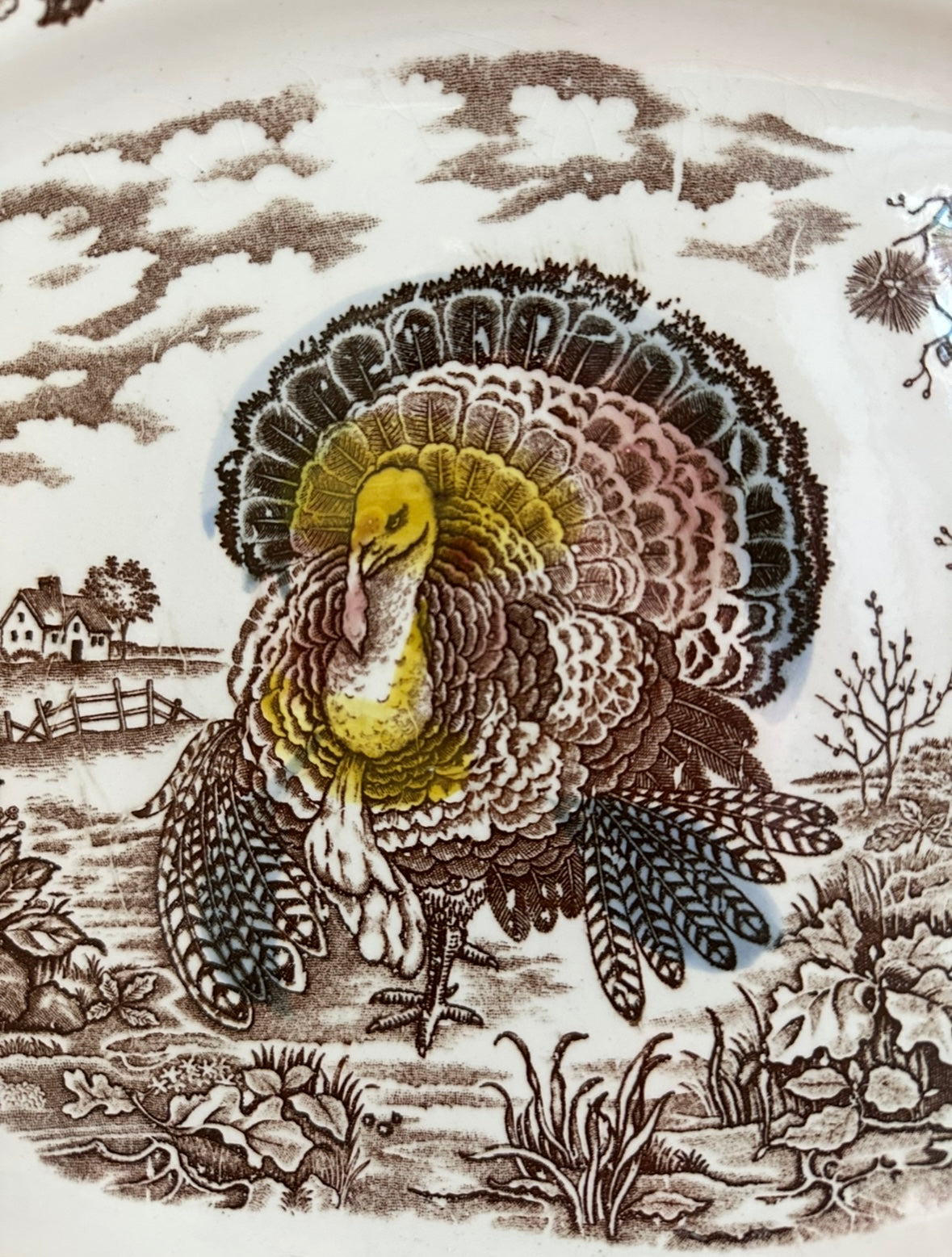 Vintage Ironstone Transferware Turkey Platter