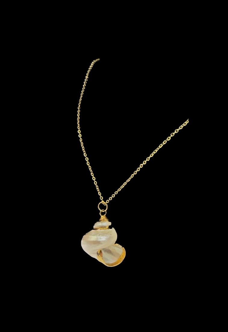 Vintage Shell Necklace
