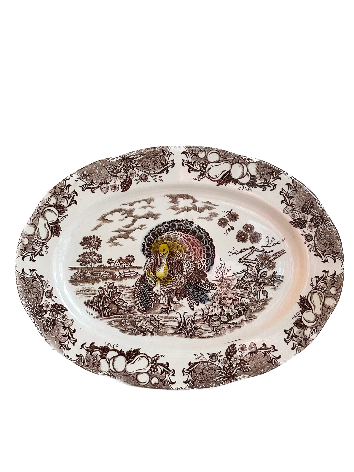 Vintage Ironstone Transferware Turkey Platter